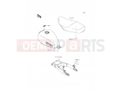 KAWASAKI W800 (EJ800AFF) Labels