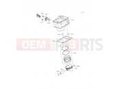 KAWASAKI Z250SL ABS (BR250FFF) Cylinder/Piston(s)
