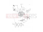 KAWASAKI D-TRACKER (KLX150HGF) Cylinder Head