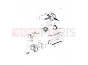 KAWASAKI J125 (SC125AGFA) Cylinder/Piston(s)
