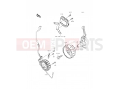 KAWASAKI NINJA 250SL ABS (BX250BGFA) Generator