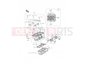 KAWASAKI NINJA 300 ABS (EX300BGF) Cylinder Head