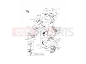 KAWASAKI 2016 Cowling Lowers