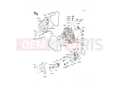 KAWASAKI 2007 Engine Cover(s)
