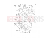 KAWASAKI KX85 (KX85ACF) Crankcase