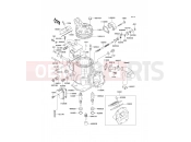 KAWASAKI KX250 (KX250-K5) Cylinder Head/Cylinder