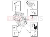MV Agusta 2004-2006 F4 1000S 1+1 Engine Electric System