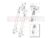 MV Agusta 2006 F4 1000 Senna Front Suspension Assembly