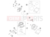 CYLINDER, CYLINDER HEAD - KTM 50 SX (6001L4) [EU] 2012