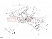 DUCATI 2006 Monster S2R 800 DARK THROTTLE BODY » INTAKE, CARBURETTOR