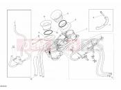 DUCATI Monster S4RS THROTTLE BODY » INTAKE, CARBURETTOR