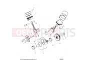 INDIAN SCOUT SIXTY ALL OPTIONS (R01) - N20MSA11/MSB11 ENGINE | ENGINE, PISTON and CRANKSHAFT - N20MSA11/MSB11 ALL OPTIONS (200647)