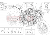 DUCATI Monster 821 Stripe WIRING HARNESS [MOD:M821 STR]