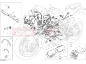 DUCATI Superbike 959 Panigale WIRING HARNESS [MOD:959,959 AWS]
