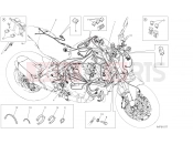 DUCATI 2018 Monster 821 WIRING HARNESS [MOD:M 821]