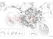 DUCATI 2019 Monster 1200 R WIRING HARNESS [MOD:M 1200R]