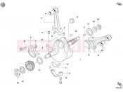 DUCATI 2004 Monster 800 CRANKSHAFT » ENGINE CASE