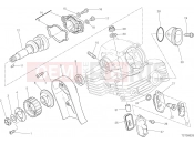 DUCATI Scrambler Desert Sled Fasthouse VERTICAL CYLINDER HEAD - TIMING [MOD:SCR800FH]
