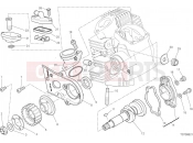 DUCATI 2019 Scrambler Full Throttle HORIZONTAL HEAD – TIMING SYSTEM [MOD:SCR800FT]