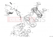 DUCATI Hypermotard 950 THROTTLE BODY [MOD:HYM 950]