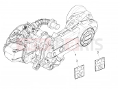 Engine, assembly - Piaggio Zip 50 4T 25 Km/h 2020
