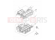Triumph 2006 DAYTONA 600 & 650 Crankcases