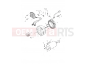 Triumph 2008 DAYTONA 600 & 650 Starter & Alternator