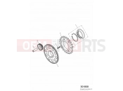Triumph 2008 DAYTONA 600 & 650 Alternator and Starter Drive