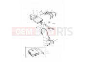 Triumph 1992 TRIDENT Ignition System