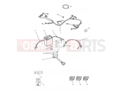 Triumph 2002 THUNDERBIRD SPORT Electrical Equipment