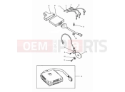 Triumph 1995 SPEED TRIPLE (CARBS) Ignition System