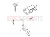 Triumph 2000 SPEED TRIPLE 885cc\955cc (EFI) > 141871 Engine Management System