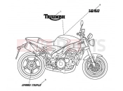Bodywork Decals 333179 - Triumph SPEED TRIPLE 210445 > 461331 2009