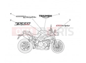 Triumph 2014 SPEED TRIPLE 461332 > 735437 Decals 657553