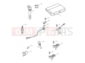 Triumph 2014 SPEED TRIPLE 461332 > 735437 Engine Management System