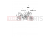 Triumph 2020 Speed Triple S Decals & Badges