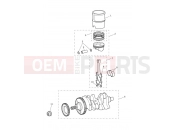 Crankshaft, Connecting Rods... - Triumph SPEED TRIPLE S 867685 > 2018