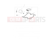 Triumph 2020 STREET TWIN Engine Service Kit