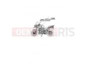 TRIUMPH Tiger Explorer > 740276 TIGER EXPLORER Decals & Badges