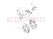 Triumph 2019 THRUXTON R Front Brake Caliper & Disc