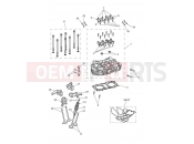 TRIUMPH Thruxton RS Cylinder Head & Valves