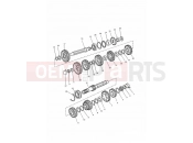 Triumph 1995 SPRINT CARBS Transmission