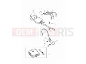 Triumph 1997 SPRINT CARBS Ignition System