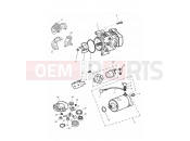 TRIUMPH SPRINT RS > 139276 Alternator and Starter