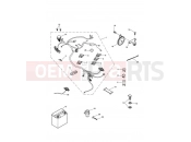 Electrical Equipment - Triumph SPRINT ST 139277 > 208166 2004
