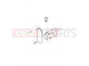 TRIUMPH SPRINT ST 208167 > Oil Pump & Drive