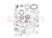 Triumph 2018 SPRINT GT Service Tools