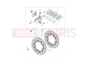 Triumph 2018 SPRINT GT Front Brake Caliper & Discs