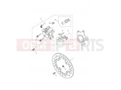 Triumph 2012 SPRINT GT Rear Brake Caliper & Disc