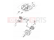 Triumph 2014 THUNDERBIRD STORM Starter & Alternator